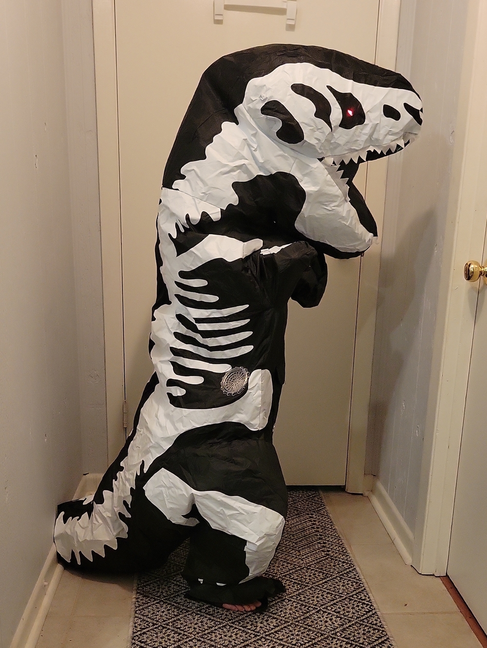 Kids Black & White Skeleton T-Rex Inflatable Costume